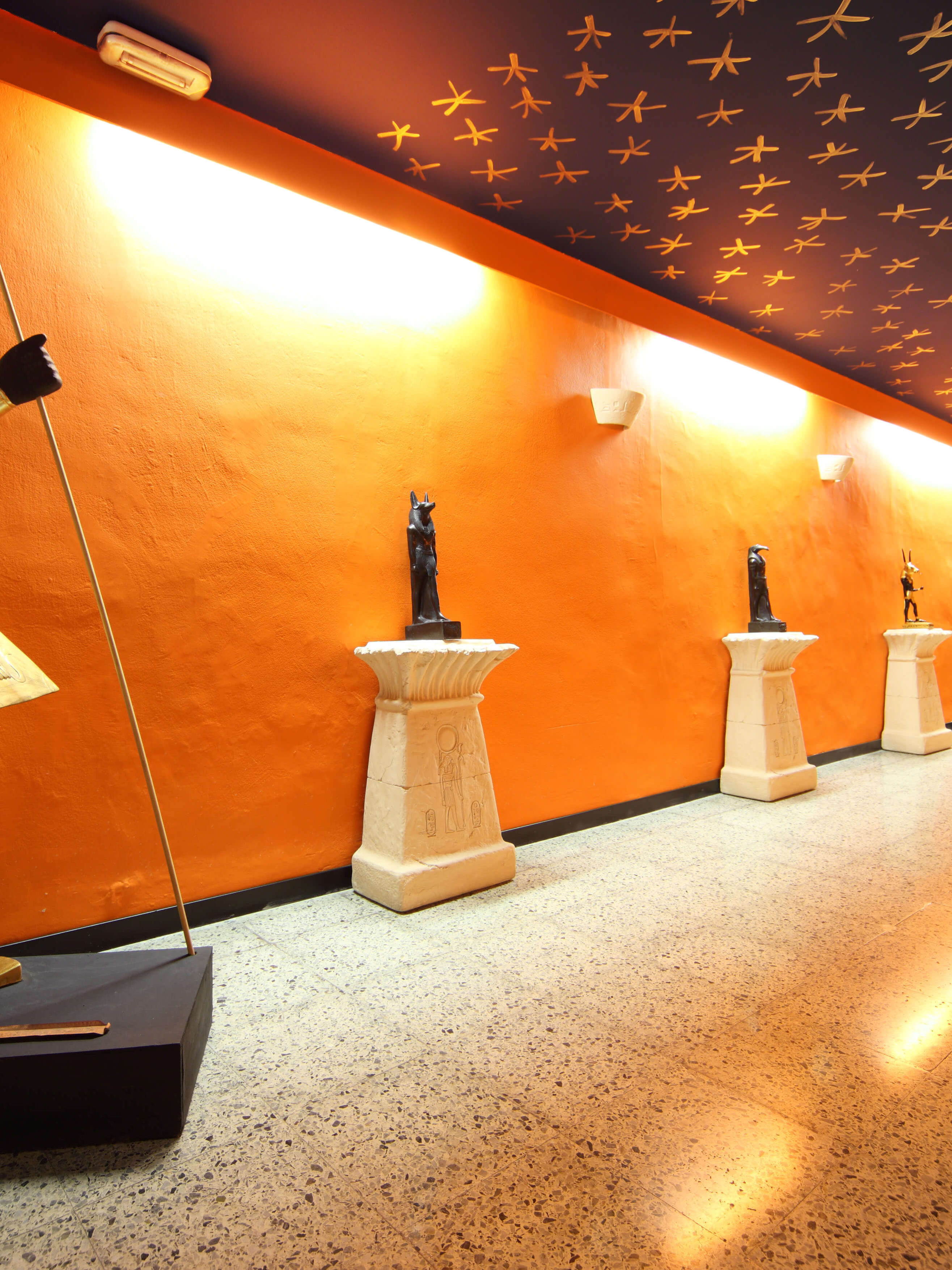 La Academia Munique Neith