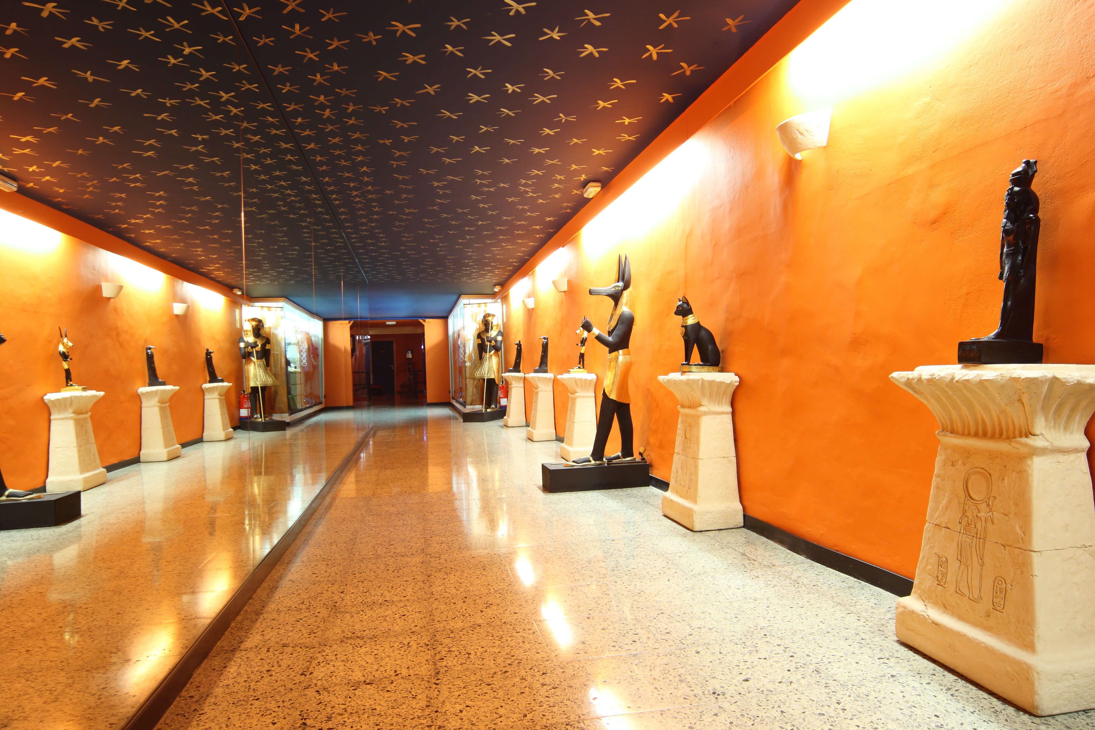 La Academia Munique Neith