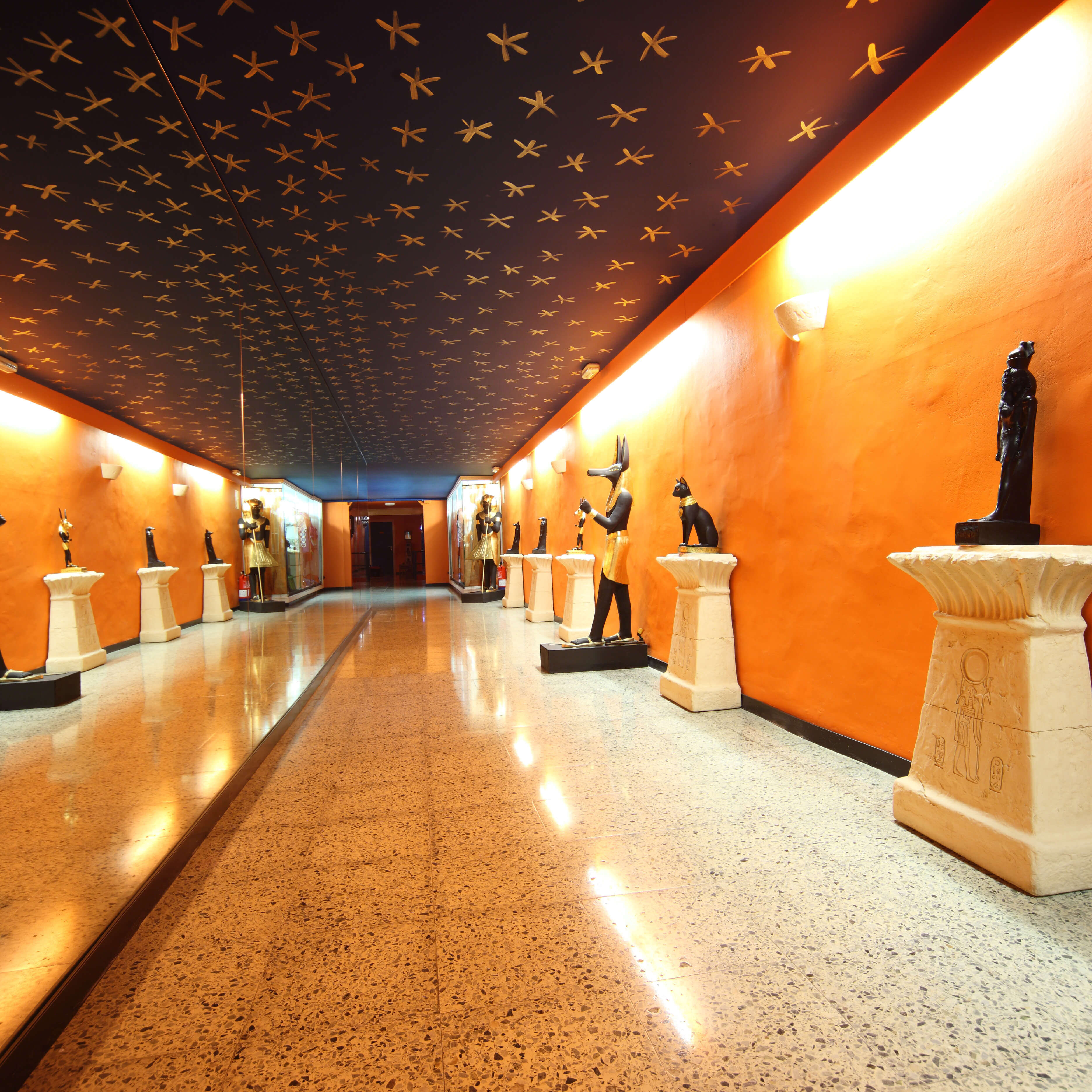 La Academia Munique Neith