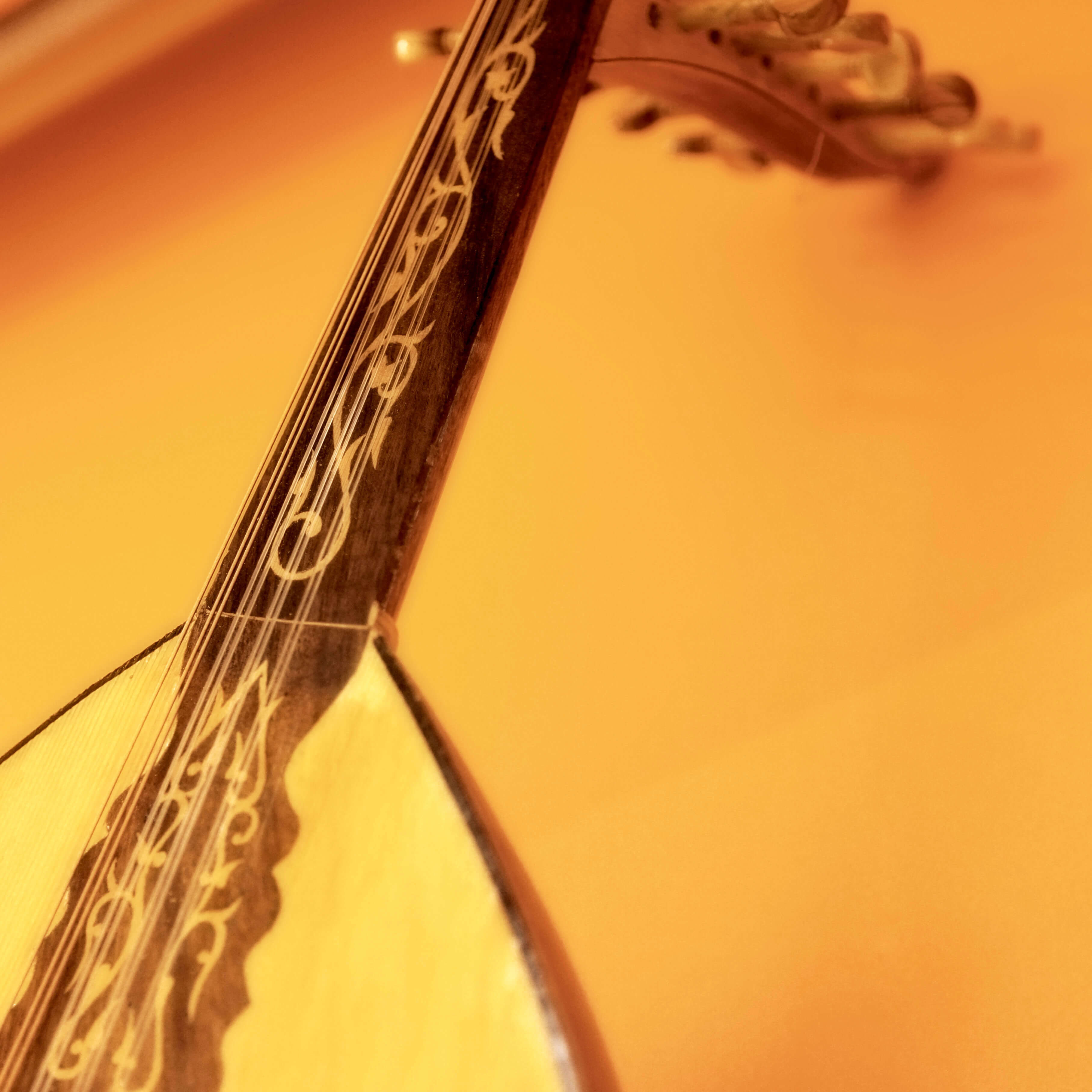 La Academia Munique Neith